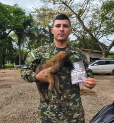 05 Base Militar Tolemaida 05 Base Militar Tolemaida